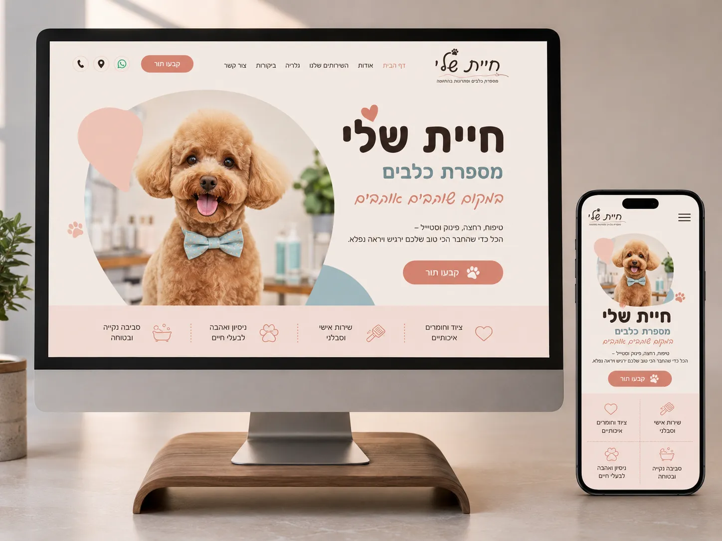 שירותים מקומיים-4
